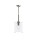 Progress Lighting - P500509-009 - One Light Pendant - Reines - Brushed Nickel