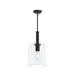 Progress Lighting - P500509-31M - One Light Pendant - Reines - Matte Black