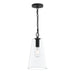 Progress Lighting - P500511-31M - One Light Pendant - Jheni - Matte Black