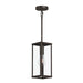 Progress Lighting - P550146-020 - One Light Outdoor Pendant - Ryle - Antique Bronze