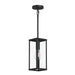 Progress Lighting - P550146-31M - One Light Outdoor Pendant - Ryle - Matte Black