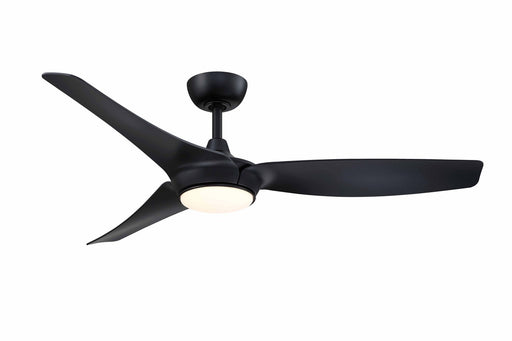 Lizza 56