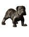 Currey and Company - 1200-1110 - Sculpture - Bulwark the Bulldog - Bronze