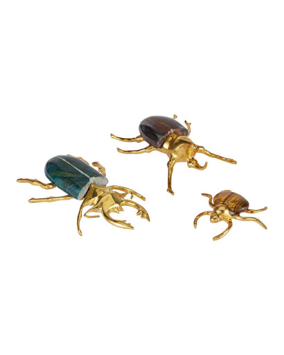 Beetle Colony Set of 3 Polished Brass / Natural