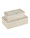 Currey and Company - 1200-1123 - Box Set of 2 - Orin - Ivory / Brushed Brass