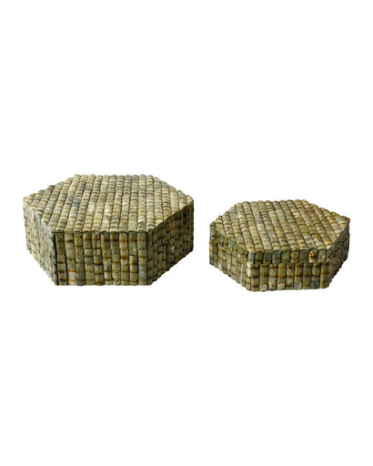 Knepp Box Set of 2 Green / Natural