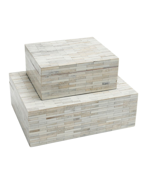 Currey and Company - 1200-1132 - Box Set of 2 - Prothero - Natural
