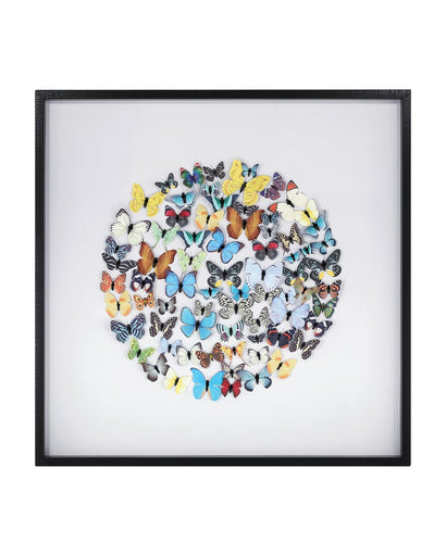 Chroma Wall Art Multi-Color
