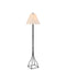Currey and Company - 8000-0184 - One Light Floor Lamp - Felicity - Brushed Black