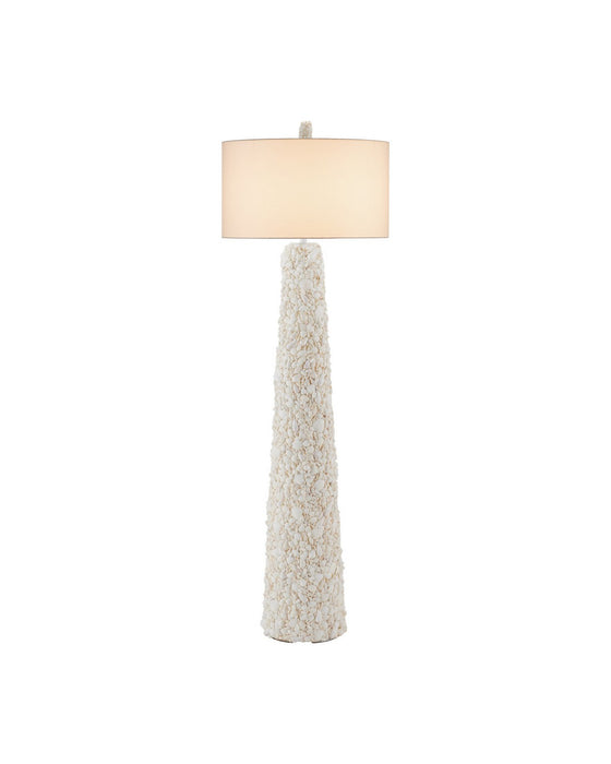 Currey and Company - 8000-0189 - One Light Floor Lamp - Turbinella - Sugar White / Natural