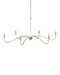 Currey and Company - 9000-1480 - Six Light Chandelier - Lardner - Champagne