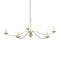 Currey and Company - 9000-1486 - Five Light Chandelier - Franz - Champagne