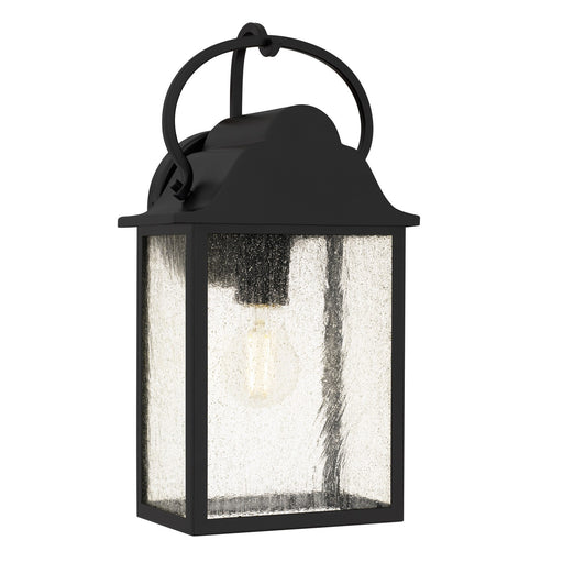 Damian One Light Outdoor Wall Lantern Matte Black