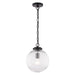 Vaxcel - P0456 - One Light Pendant - Linden - Matte Black