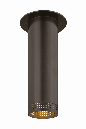 Berg One Light Flush Mount Bronze