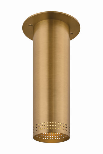 Berg One Light Flush Mount Patina Brass