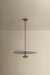Troy Lighting - F2820-PBR/WTW - LED Pendant - Garth - Patina Brass