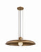Troy Lighting - F3233-PBR - One Light Pendant - Rainhill - Patina Brass
