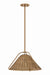 Troy Lighting - F4318-PBR - One Light Pendant - Richard - Patina Brass