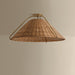 Troy Lighting - F4326-PBR - One Light Pendant - Richard - Patina Brass