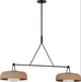Visual Comfort Studio - SCRJLS171AITSOEG - Two Light Linear Chandelier - Liora - Aged Iron