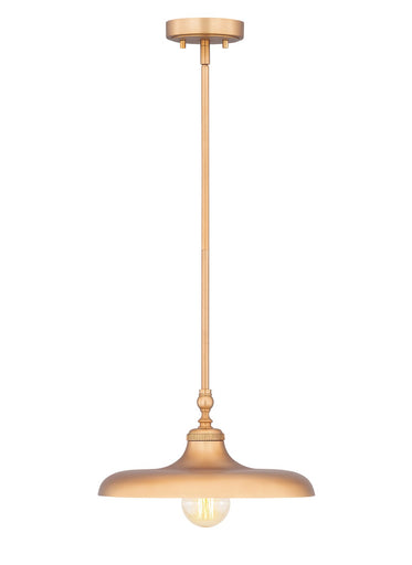Camden One Light Pendant Rubbed Brass