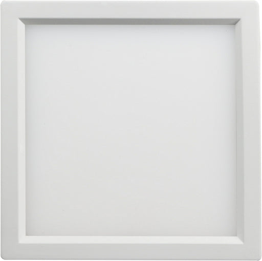 Troy LED Flushmount White
