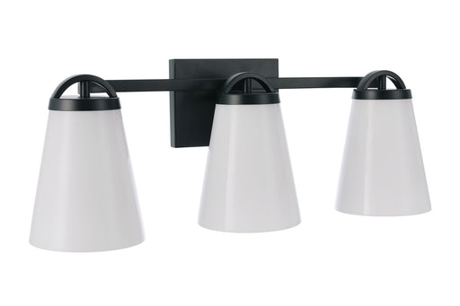 Zane Three Light Vanity Flat Black