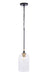 Craftmade - 60391-FBSB-C - One Light Pendant - Council - Flat Black/Satin Brass