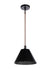 Craftmade - 60991-FBSB - One Light Pendant - Blake - Flat Black/Satin Brass
