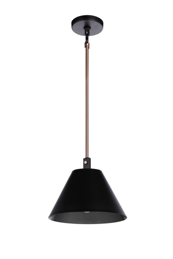 Blake One Light Pendant Flat Black/Satin Brass