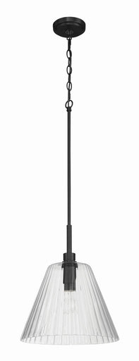 Pleated One Light Pendant Flat Black
