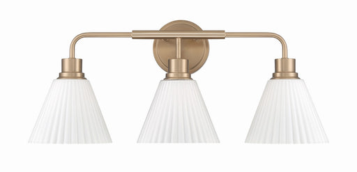 Pleated II Three Light Vanity Premium Bronze