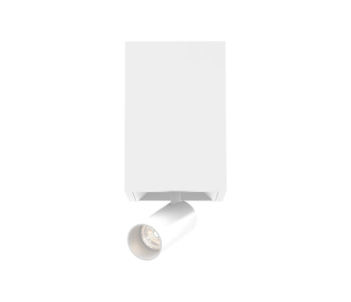 Bravo LED Flushmount White