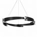 Zeev Lighting - CD11627-LED-5-48-SBB - LED Chandelier - Arcus - Satin Brushed Black