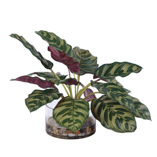 Uttermost - 60273 - Plant Accent - Peacock - Natural