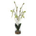 Uttermost - 60276 - Vase - Lady - White