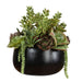Uttermost - 60277 - Centerpiece - Mico - Green
