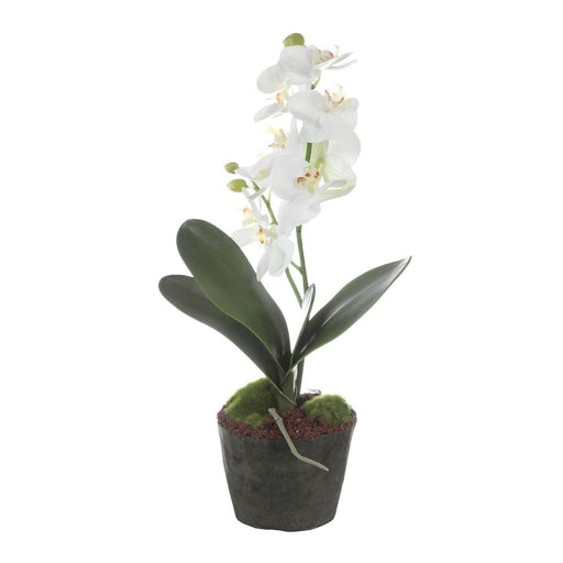 Uttermost - 60280 - Orchid Drop-In - Laris - White