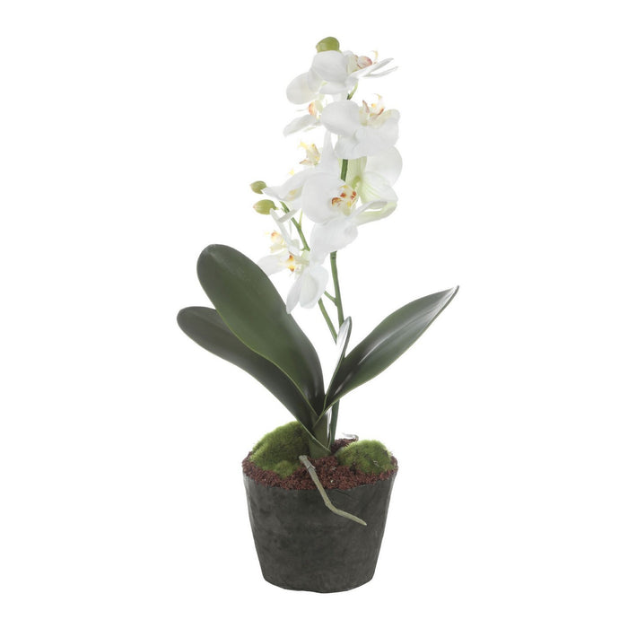 Uttermost - 60280 - Orchid Drop-In - Laris - White