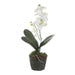 Uttermost - 60280 - Orchid Drop-In - Laris - White