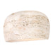 Fredrick Ramond - FR42950TV - One Light Wall Sconce - Riven - Travertine