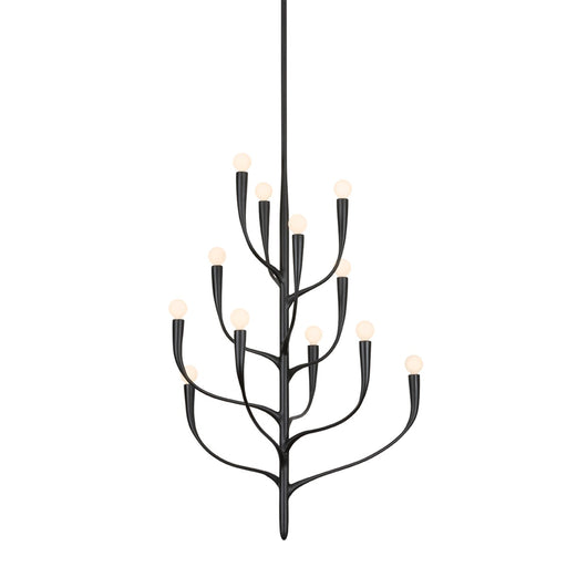 Labra 12 Light Chandelier Aged Iron