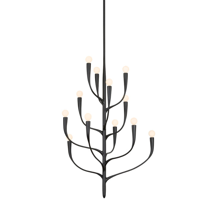 Hudson Valley - 9612B-AI - 12 Light Chandelier - Labra - Aged Iron