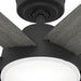 Donatella 52" Ceiling Fan-Fans-Hunter-Lighting Design Store