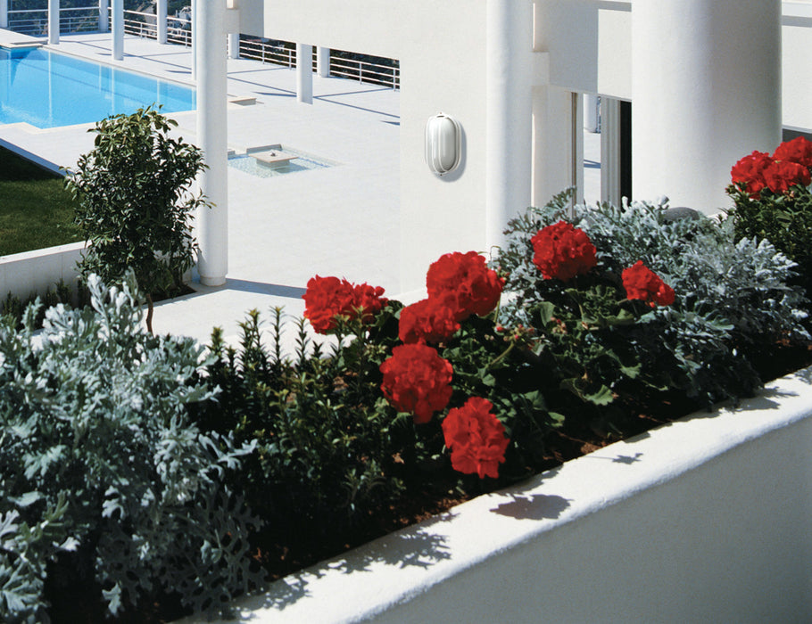 Nuvo Lighting - 60-524 - One Light Outdoor Bulk Head - Die Cast Bulk Heads Semi Gloss White - Semi Gloss White