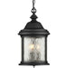Progress Lighting - P5550-31 - Three Light Hanging Lantern - Ashmore - Textured Black