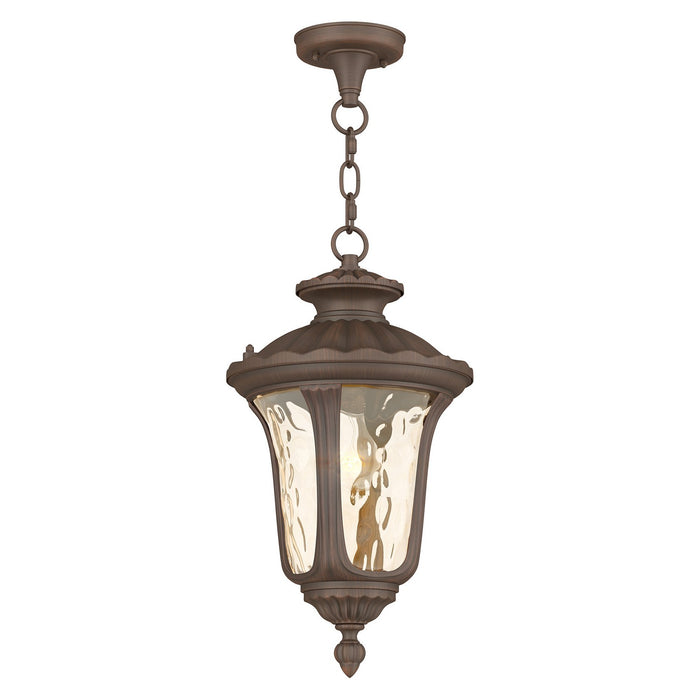 Livex Lighting - 7654-58 - One Light Outdoor Pendant - Oxford - Hand Applied Imperial Bronze