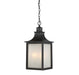 Savoy House - 5-256-13 - Three Light Hanging Lantern - Monte Grande - English Bronze