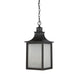 Savoy House - 5-256-13 - Three Light Hanging Lantern - Monte Grande - English Bronze